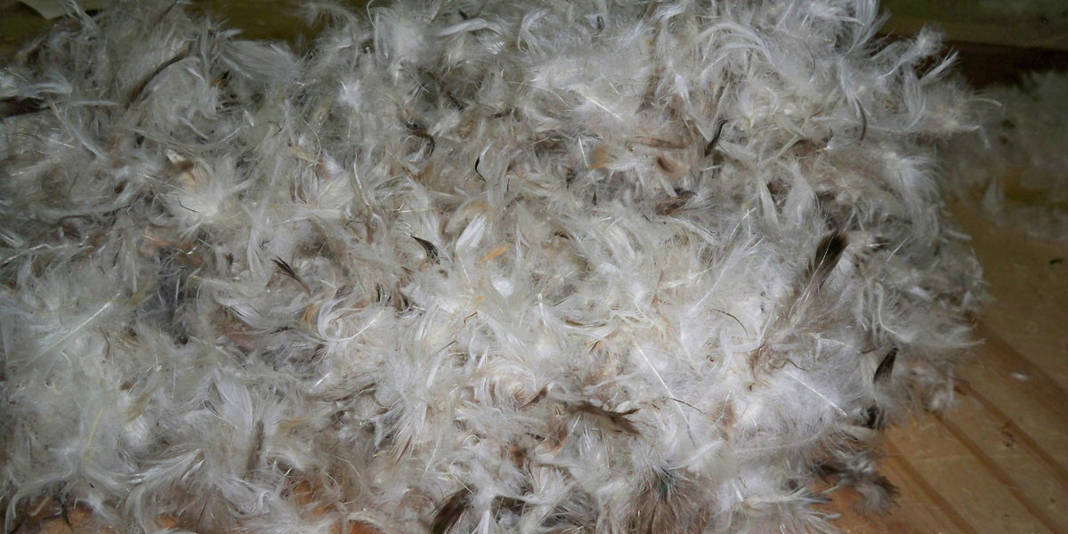 Bulk online down feathers